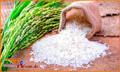 Estudio revela arroz que se consume en el país no tiene metales