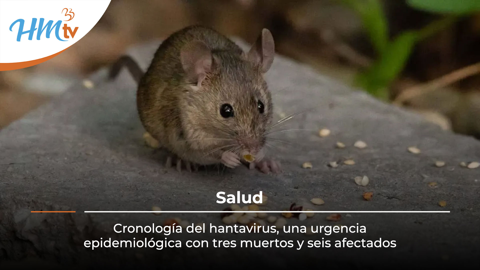 Cronología del hantavirus, una urgencia epidemiológica con tres muertos y seis afectados